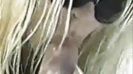 Cô gái Nga từ Tyumen thích quan hệ youtube phim sex nhật bản tình dục qua đường hậu môn nhóm.